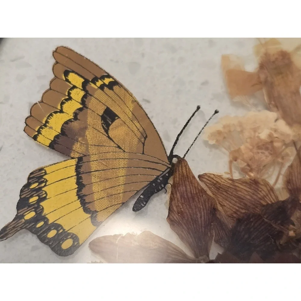 Vtg Lasting Impressions Butterfly In‎ Glass Framed Decor Handcrafted USA Pressed